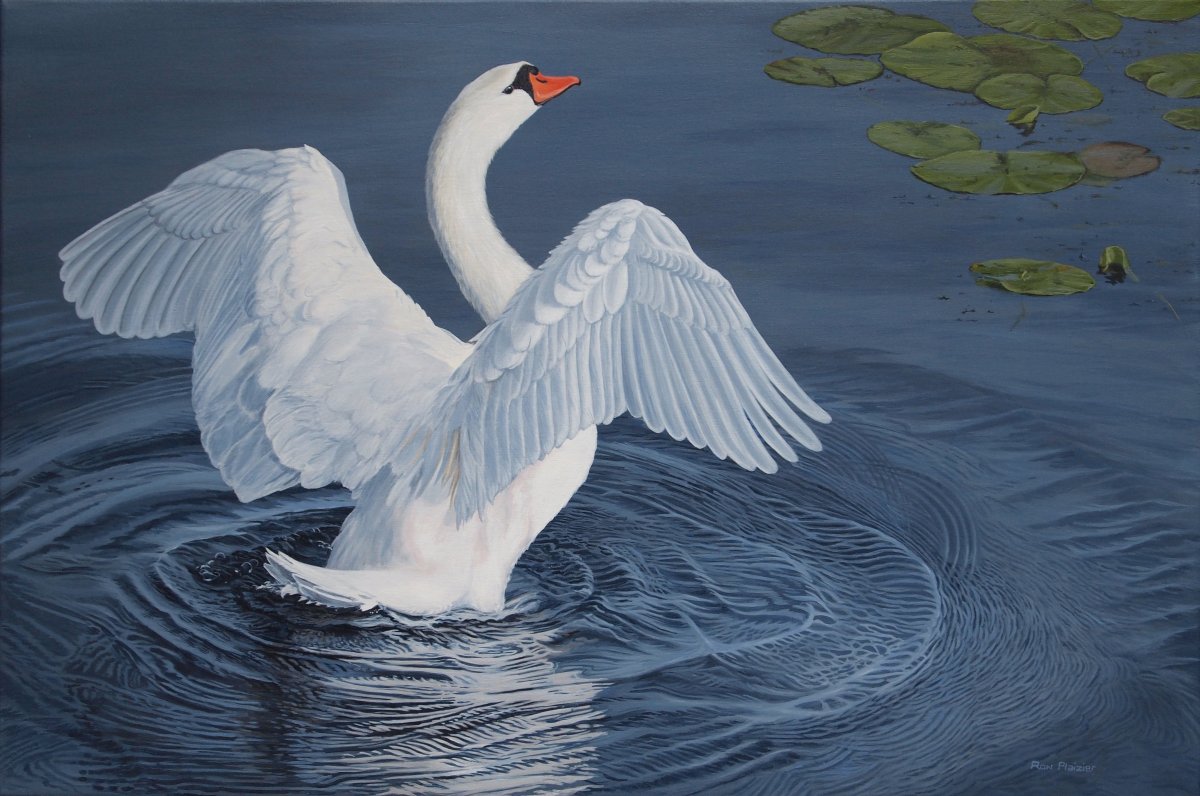 Картина белый лебедь