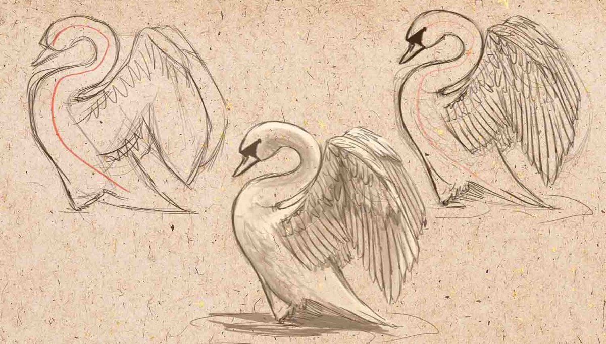 Лебедь набросок