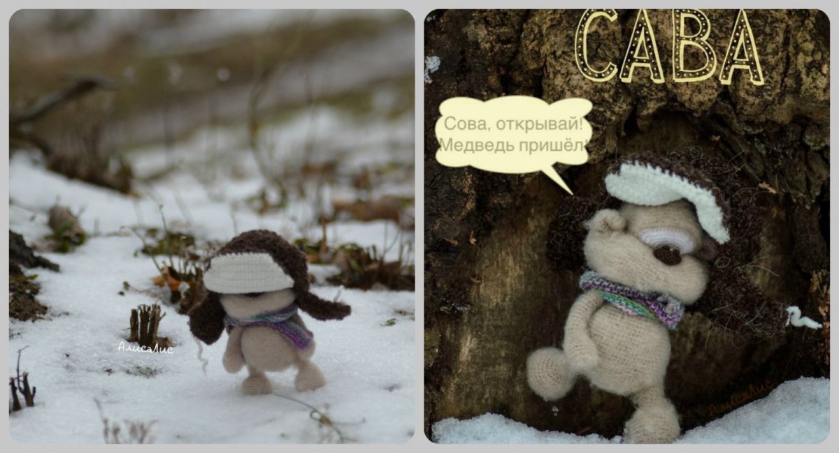 Медведь за забором