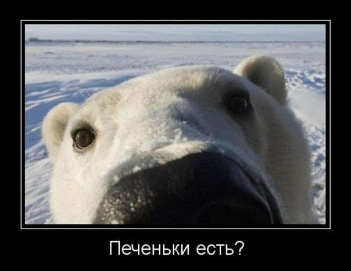 Совенок с кружкой кофе