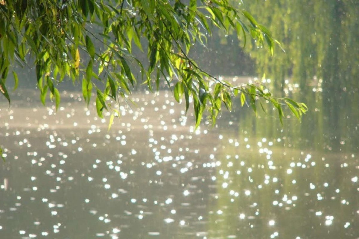 Дождь и солнце