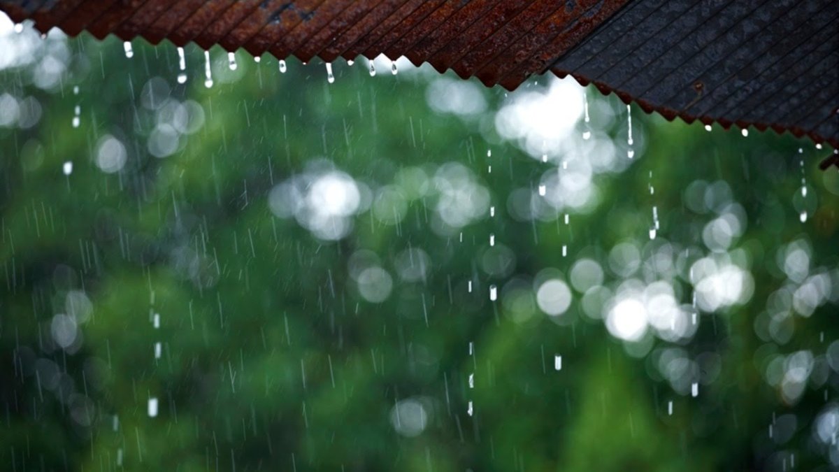 Радуется ребенок дождику