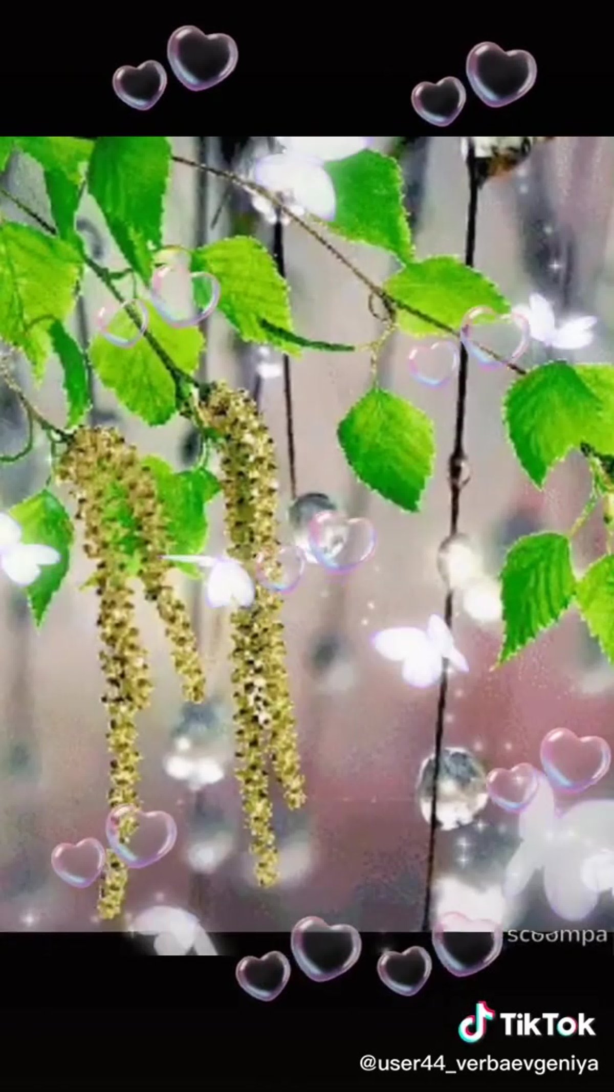 Весенний дождик