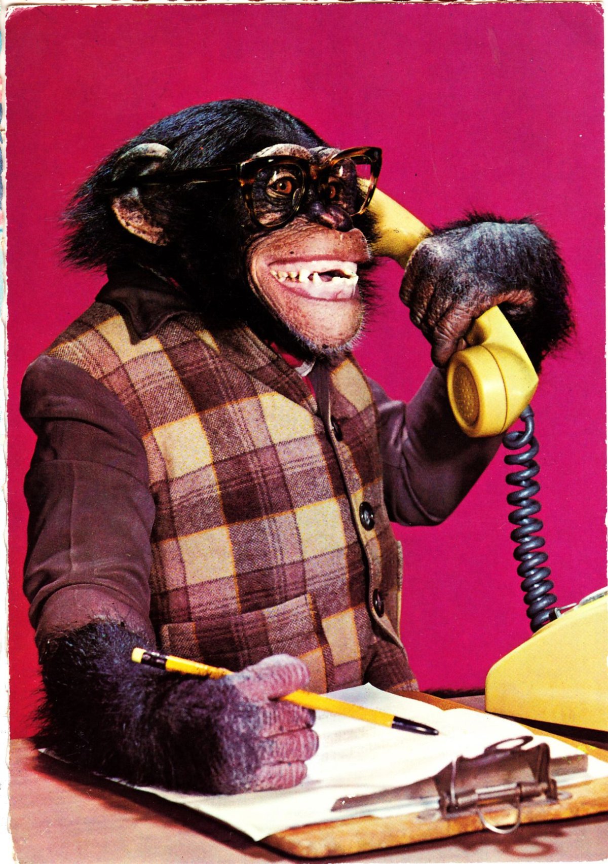 Мартышка с телефоном