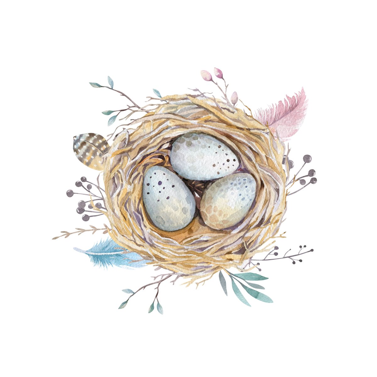 Акварельные птицы в гнезде