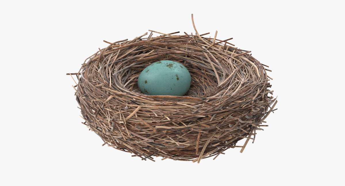 Гнездо на дереве