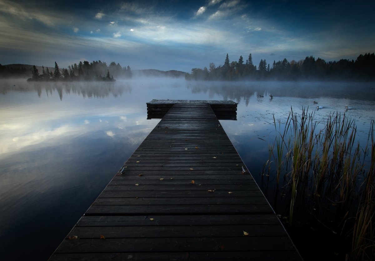 Умиротворяющий пейзаж