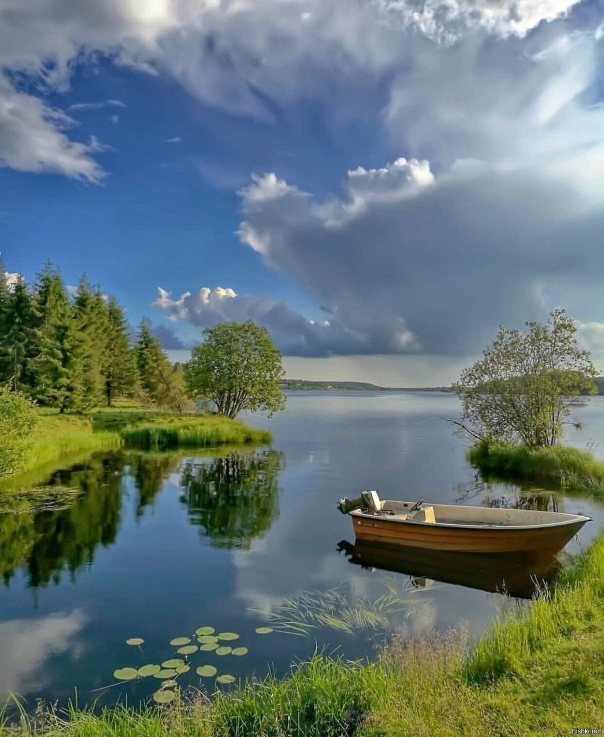 Умиротворяющий пейзаж