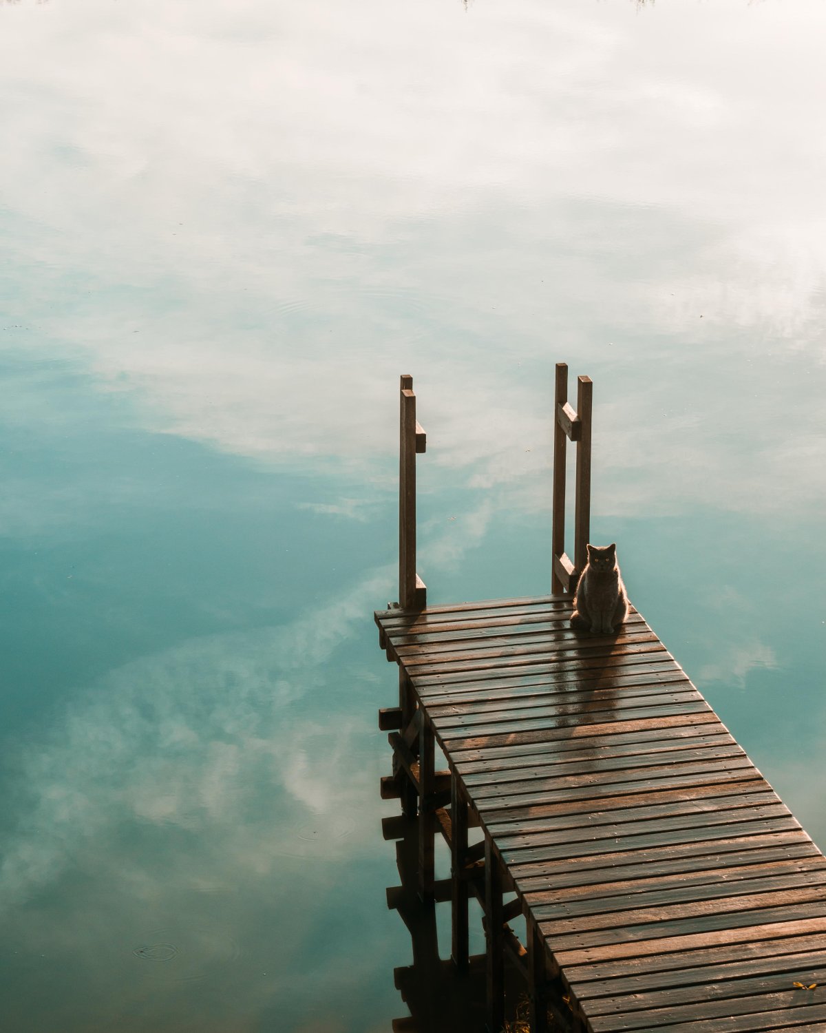 Спокойствие и умиротворение