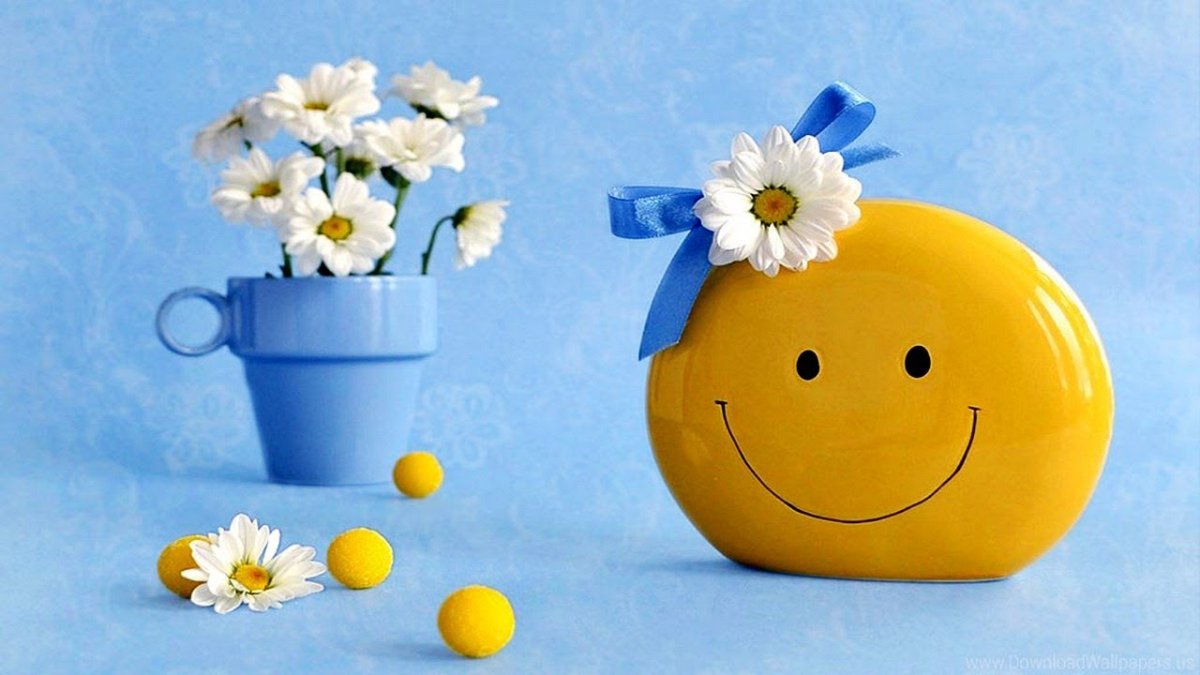 Кот подмигивает