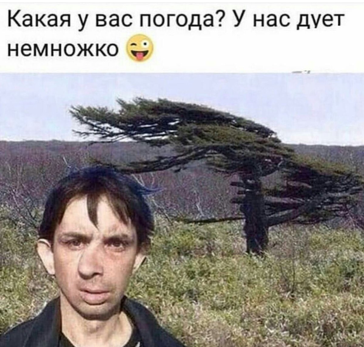 Сильный ветер смешное