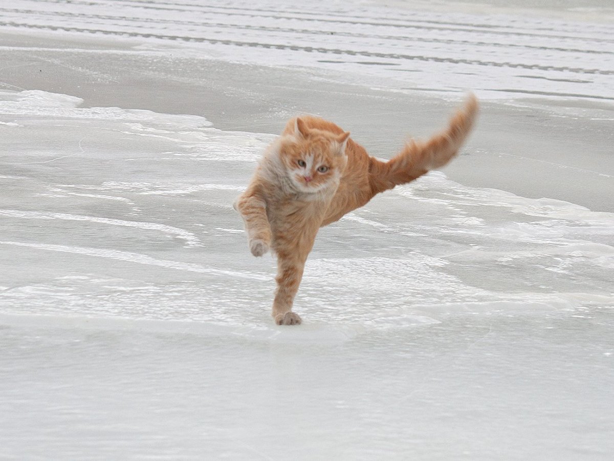 Ветер смешно