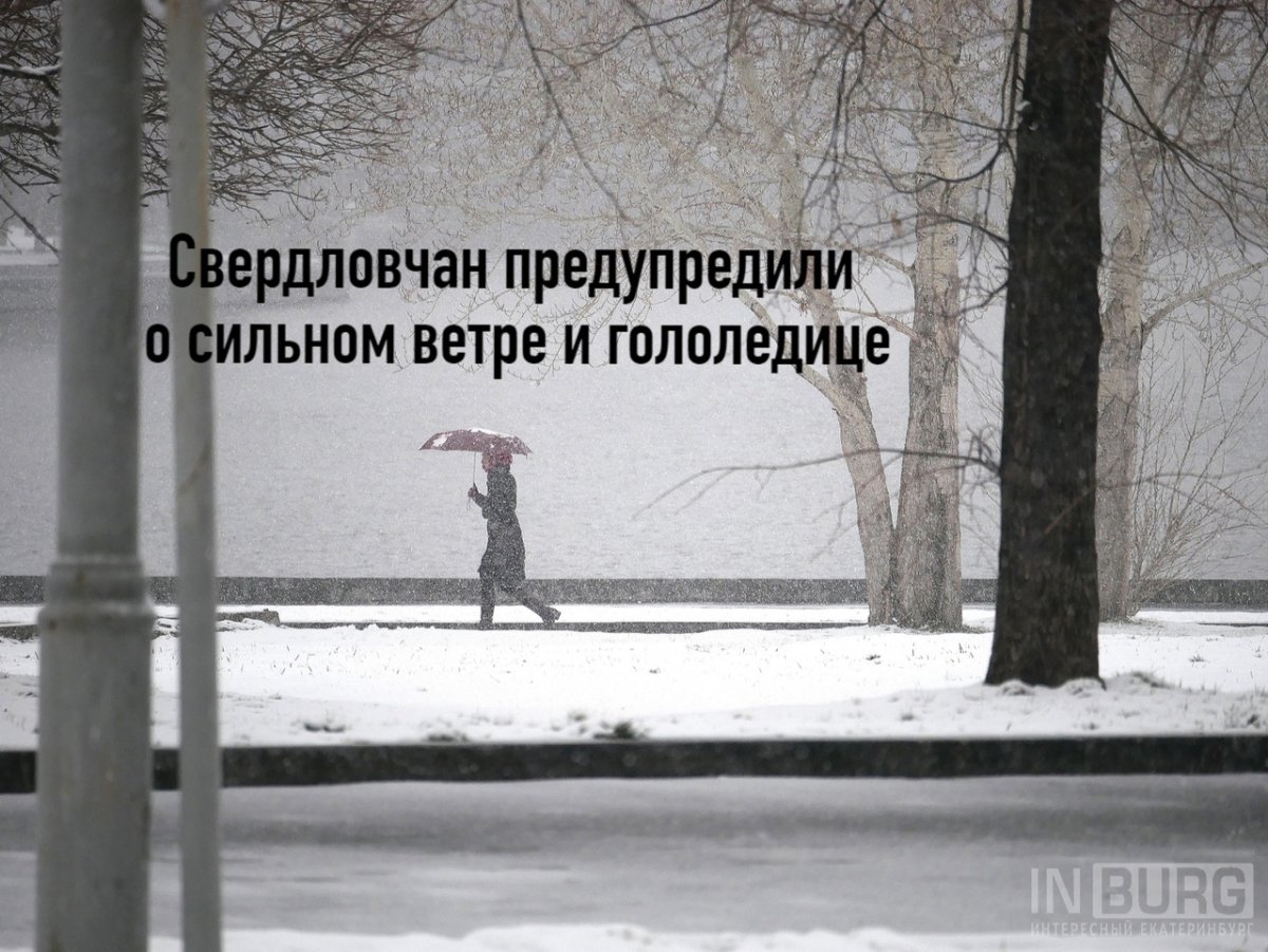 Сильный ветер юмор