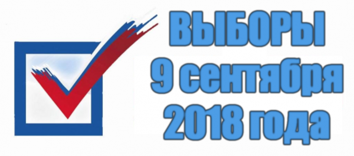 Галочка выборы