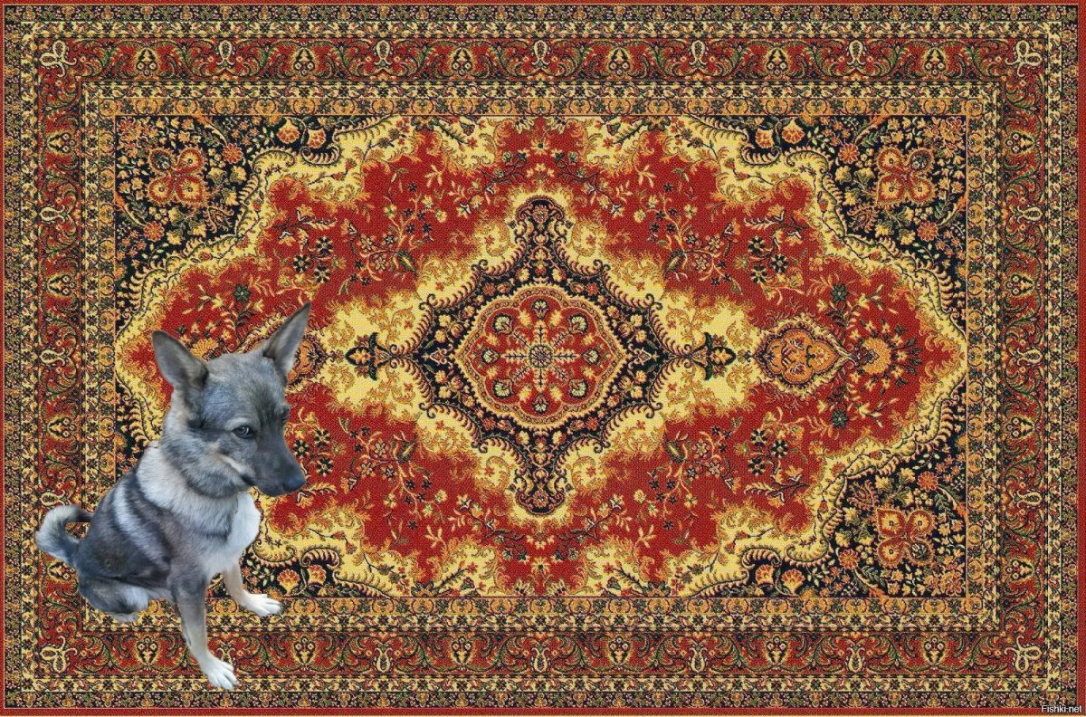 Ковер на стене