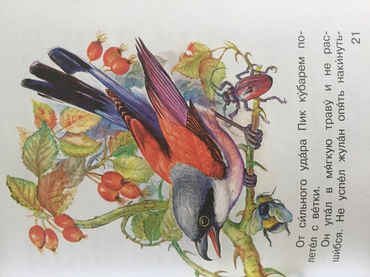 Бианки рассказы о природе книга