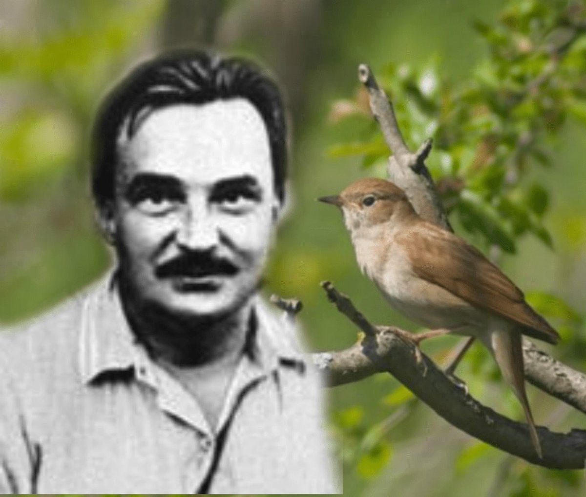 Бианки в. "Синичкин календарь"