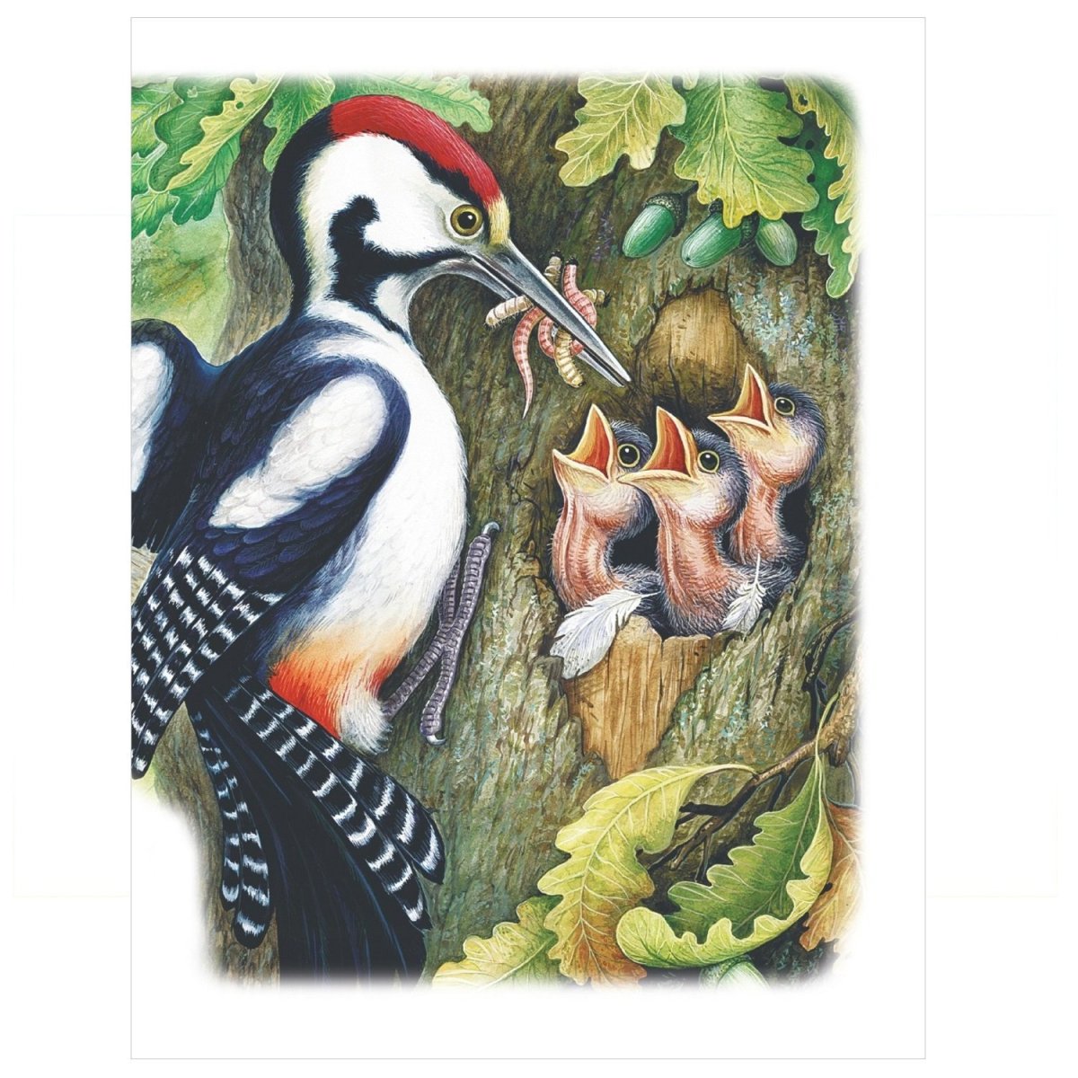 Писатели которые писали о животных