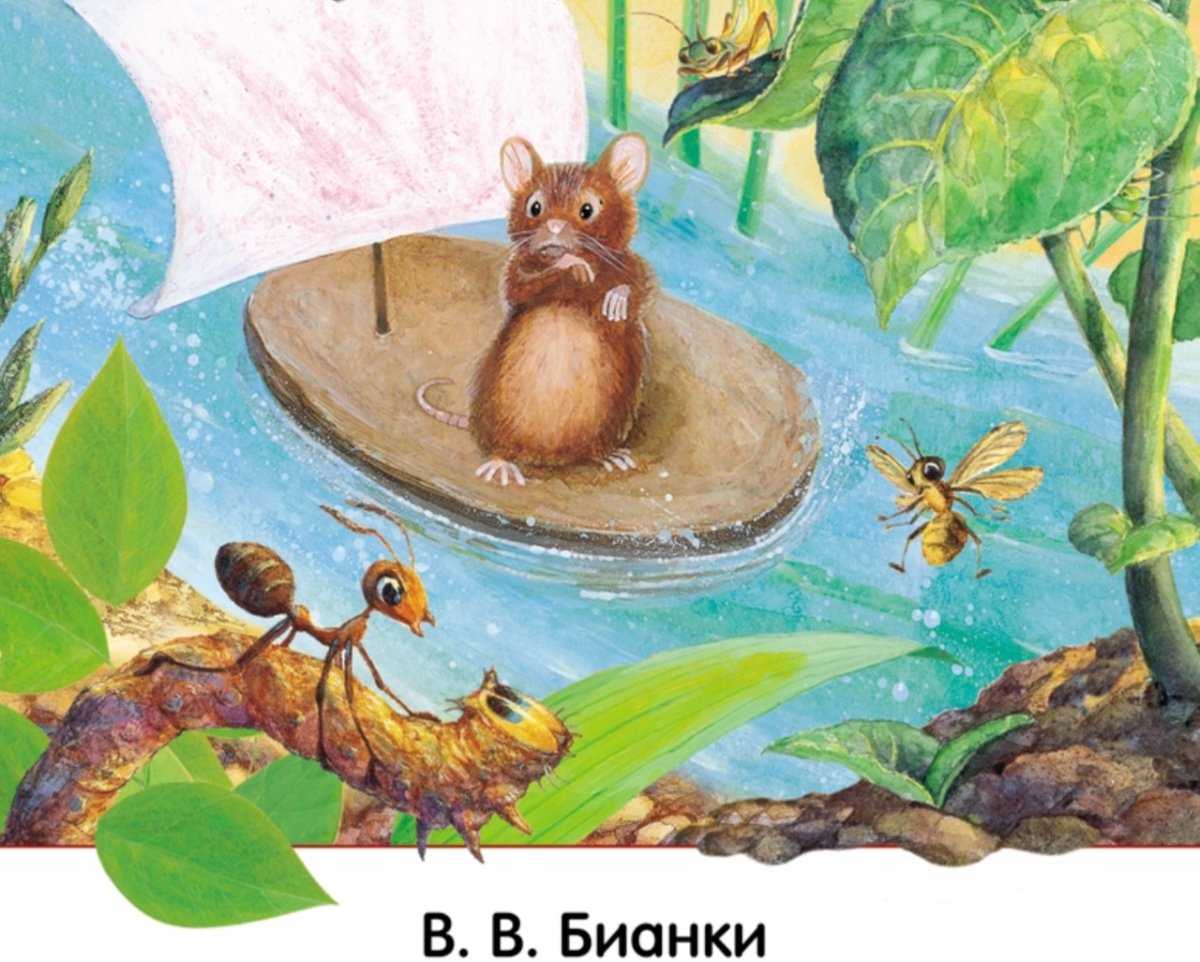 Сладков лиса