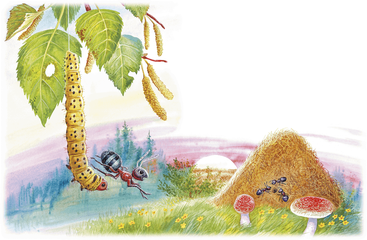 Виталий Бианки вести из леса