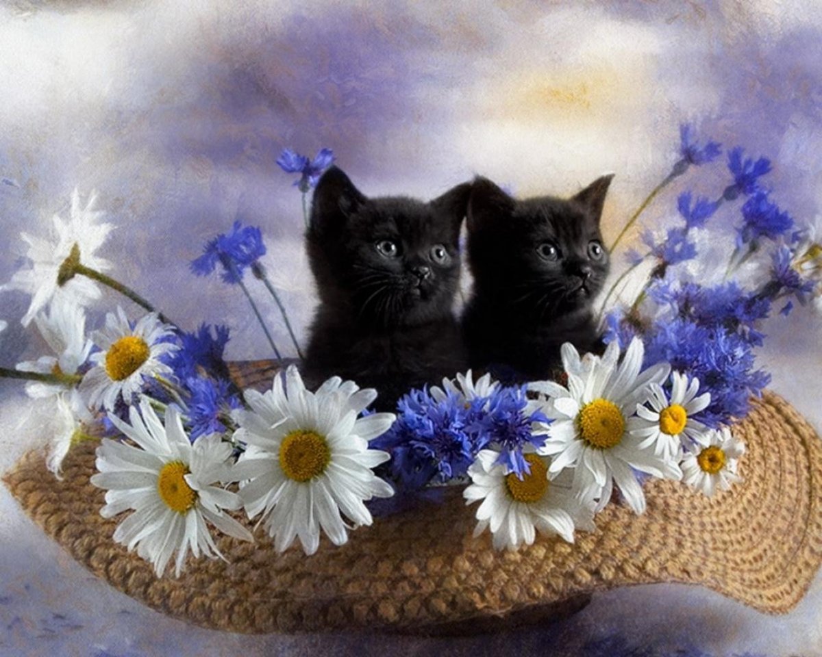 Черный котенок с цветочком