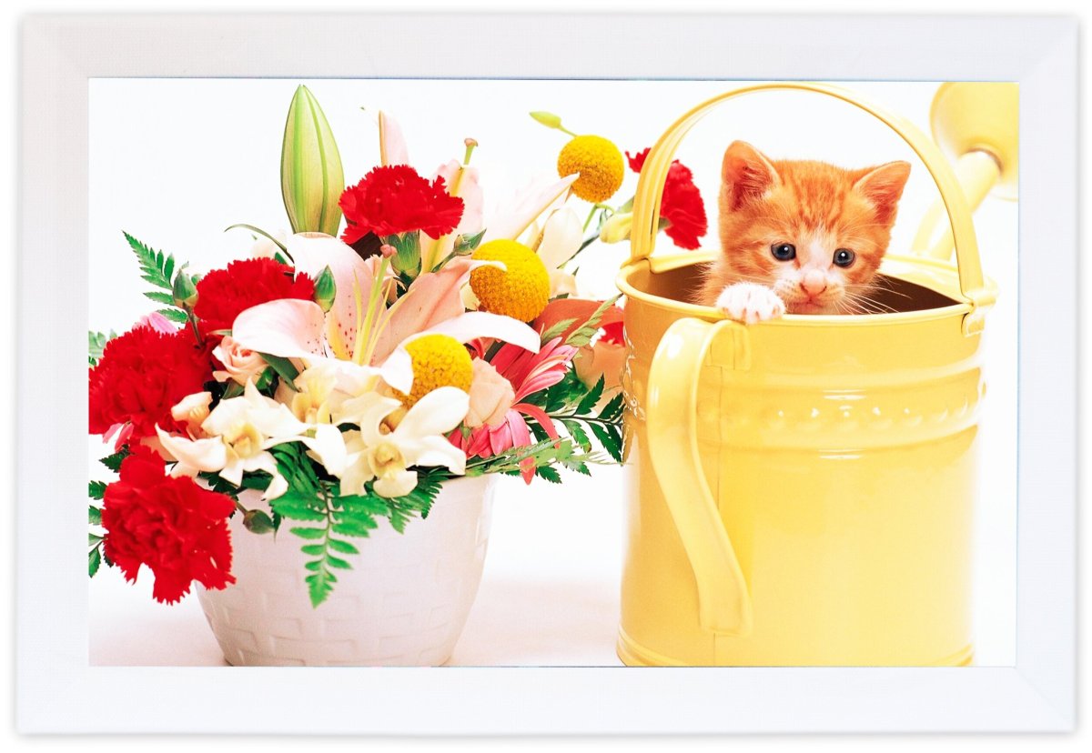 Летний букетик с котенком