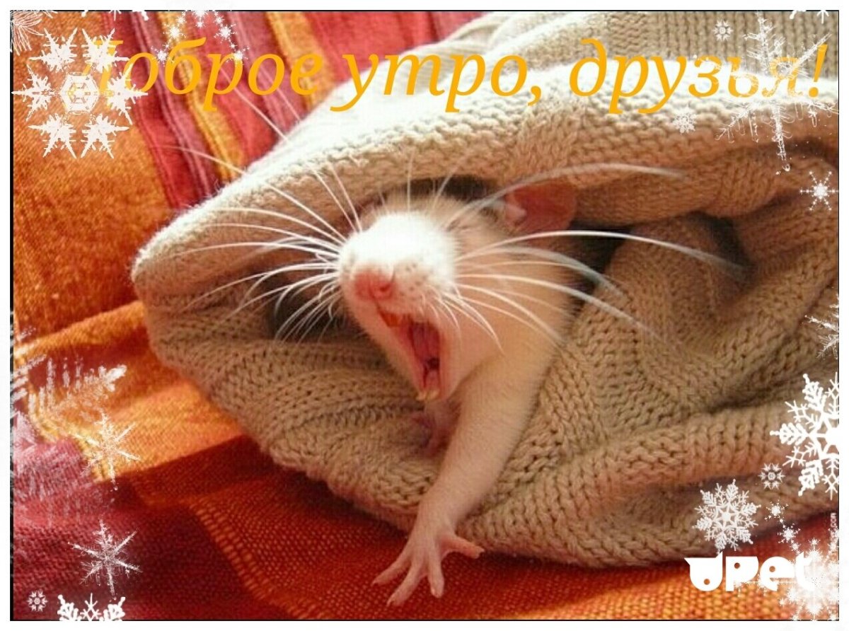 Смешные рисунки