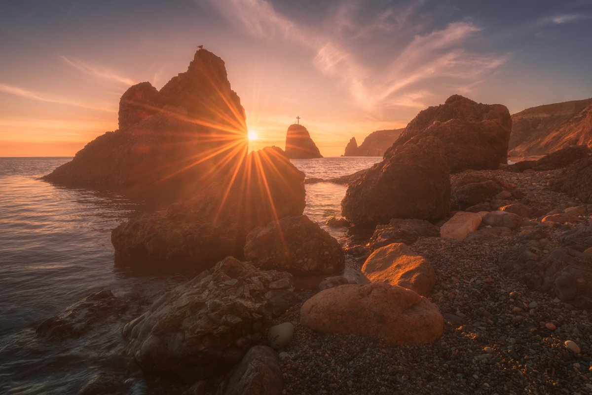 Мыс новый свет Крым сосна