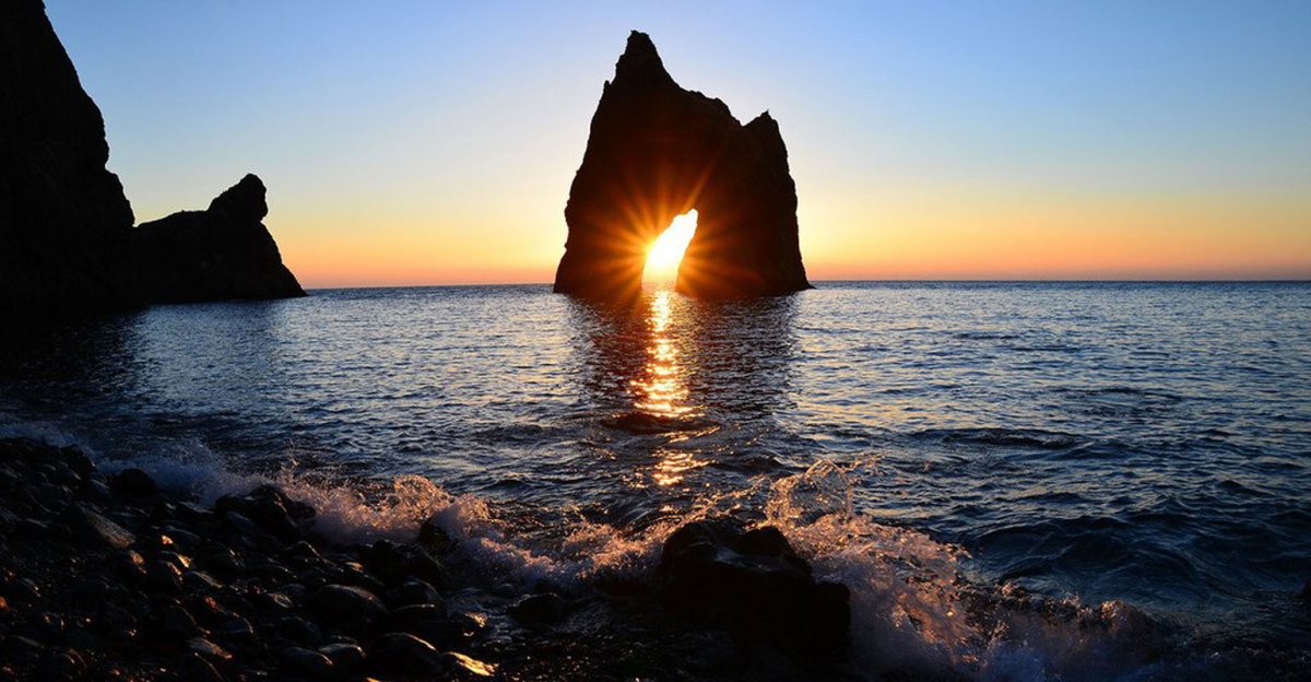 Ромашки на закате