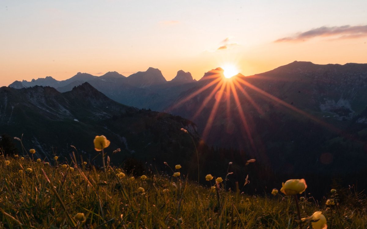 Солнечный день Крым