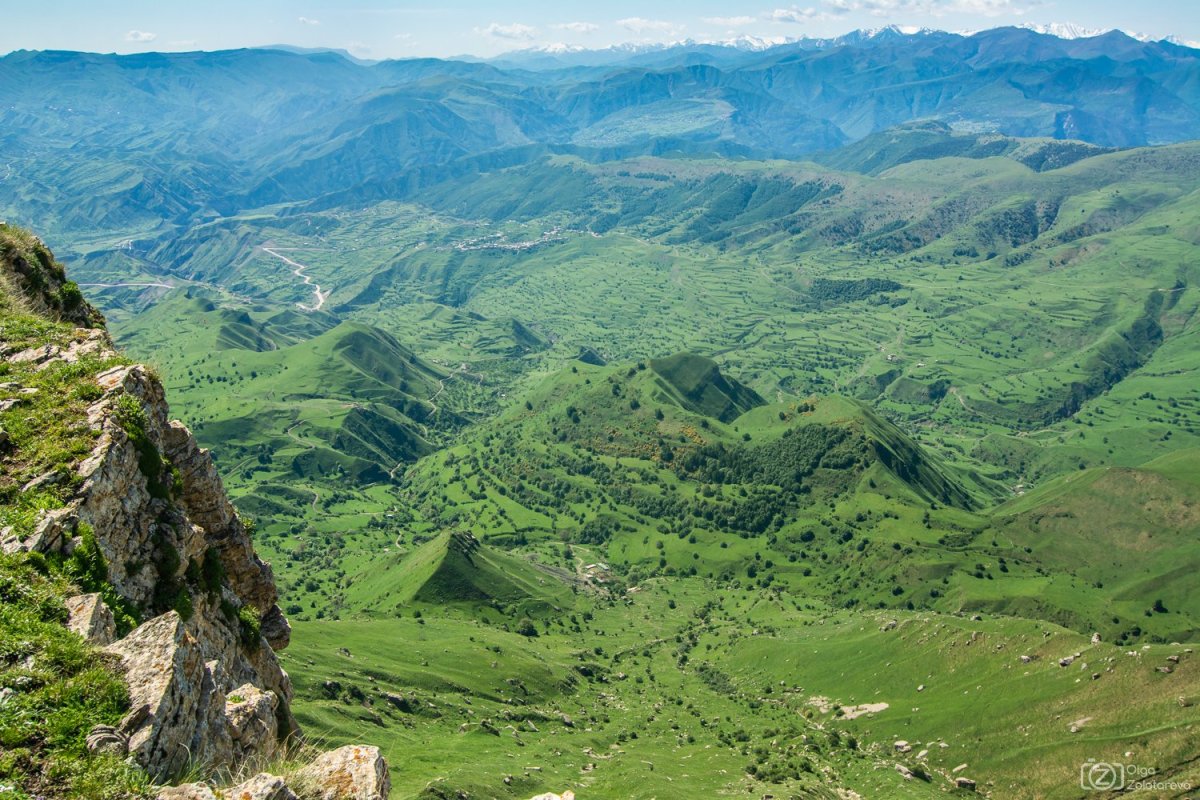 Орел Дагестан