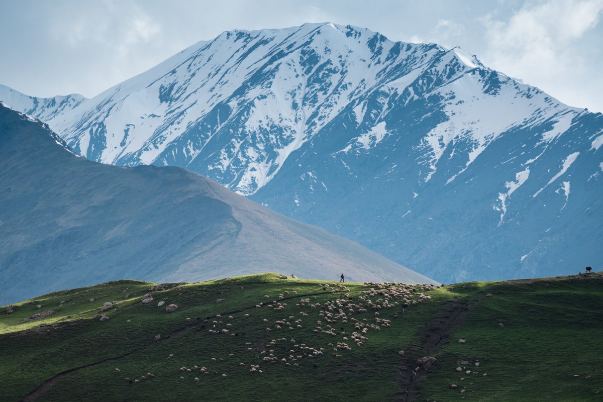 Фото покажи дагестанскую гору