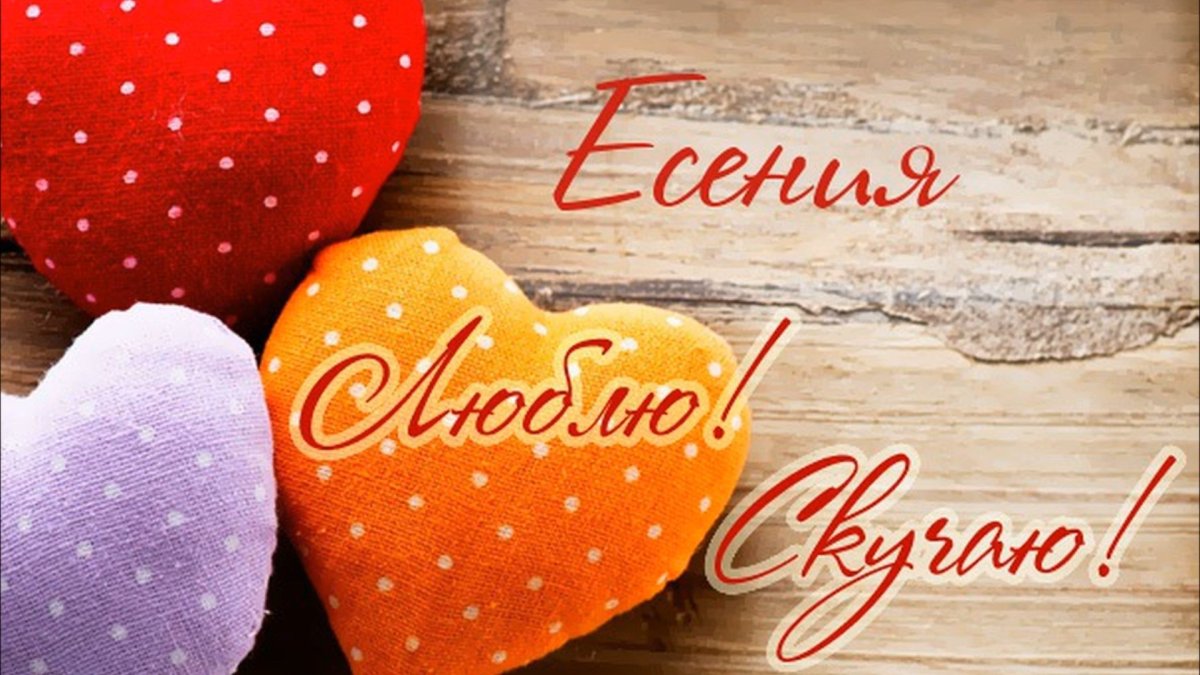 Люблю тебя Миша