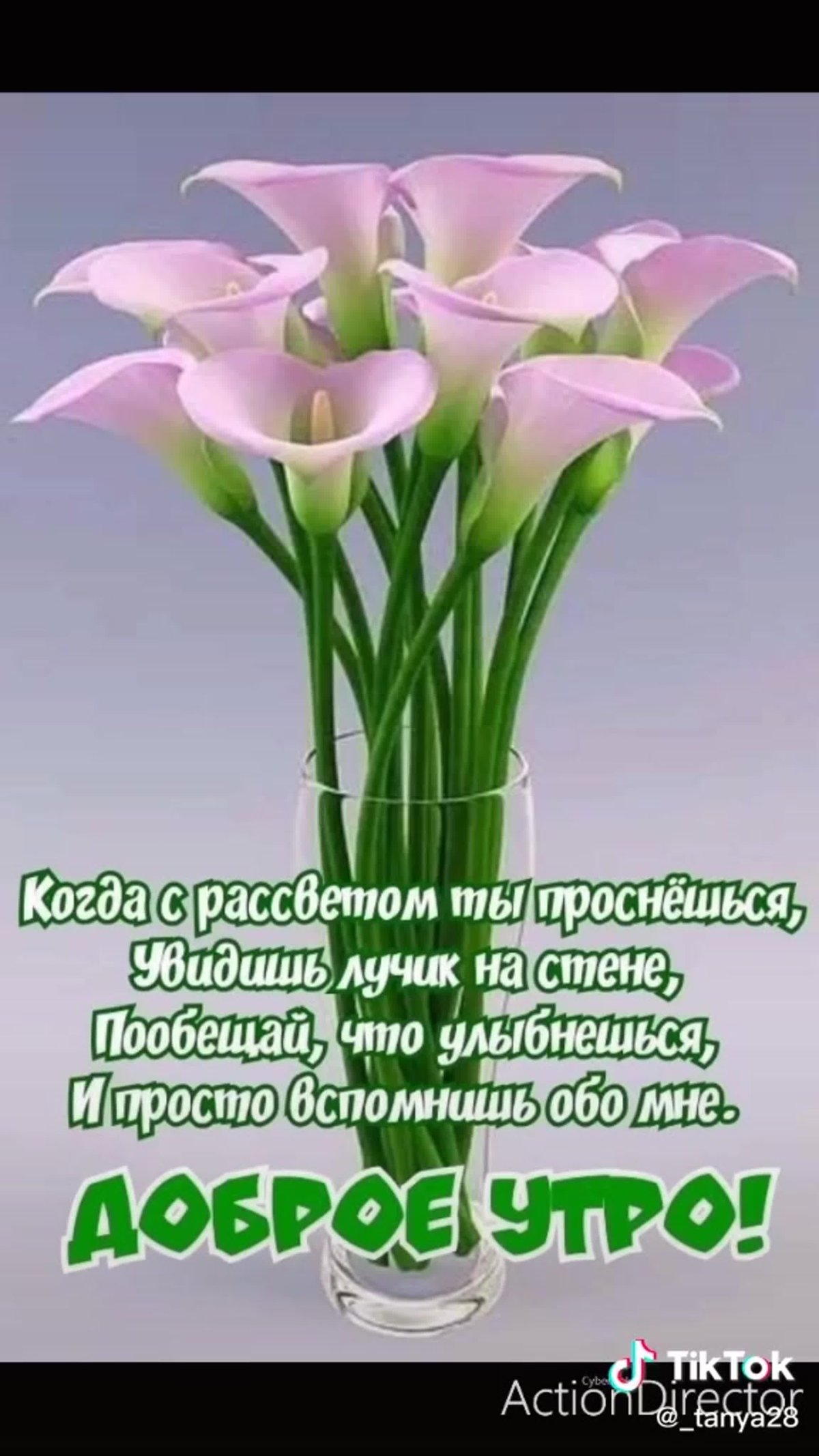 Пожелания с добрымиутром