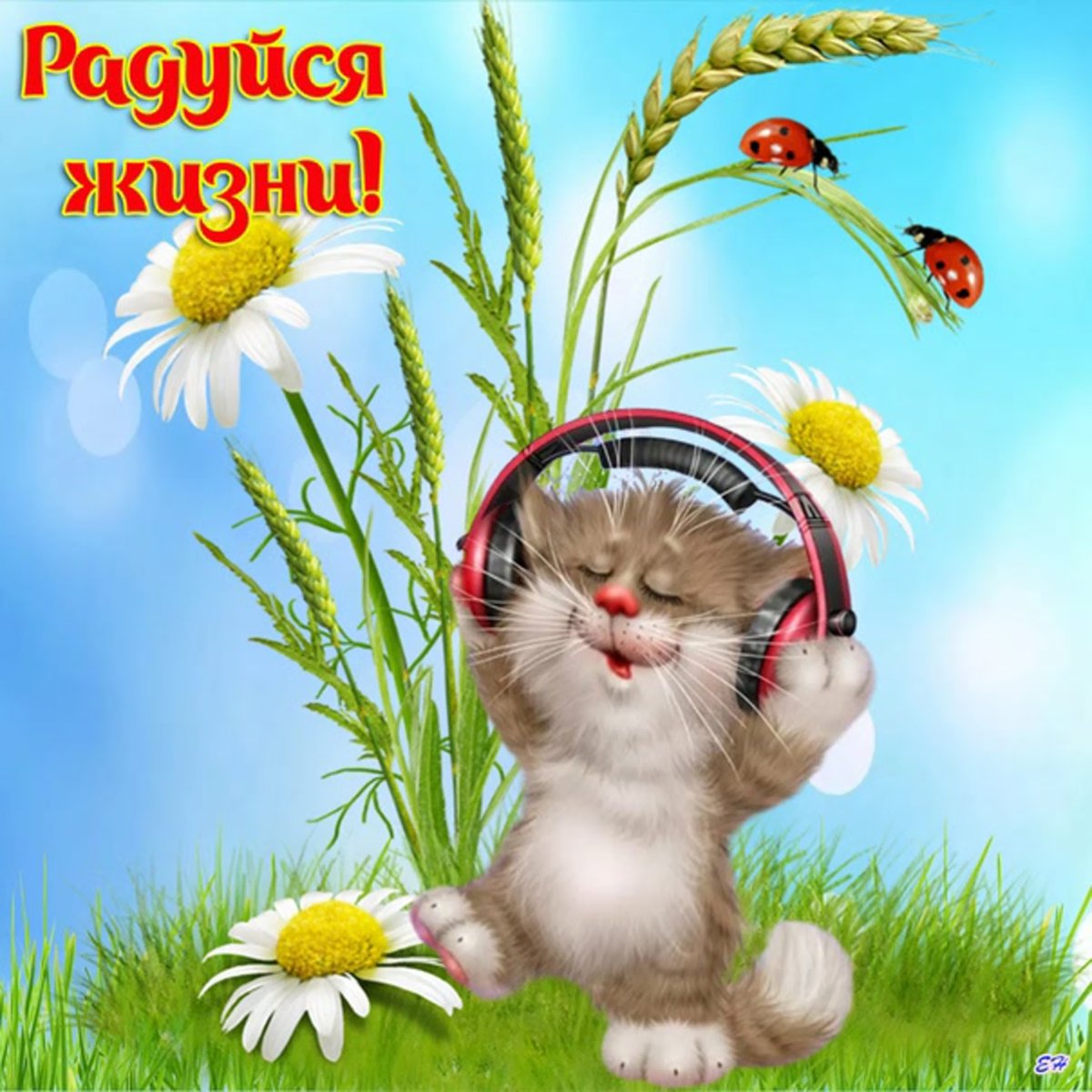 Удачного четверга и хорошего настроения