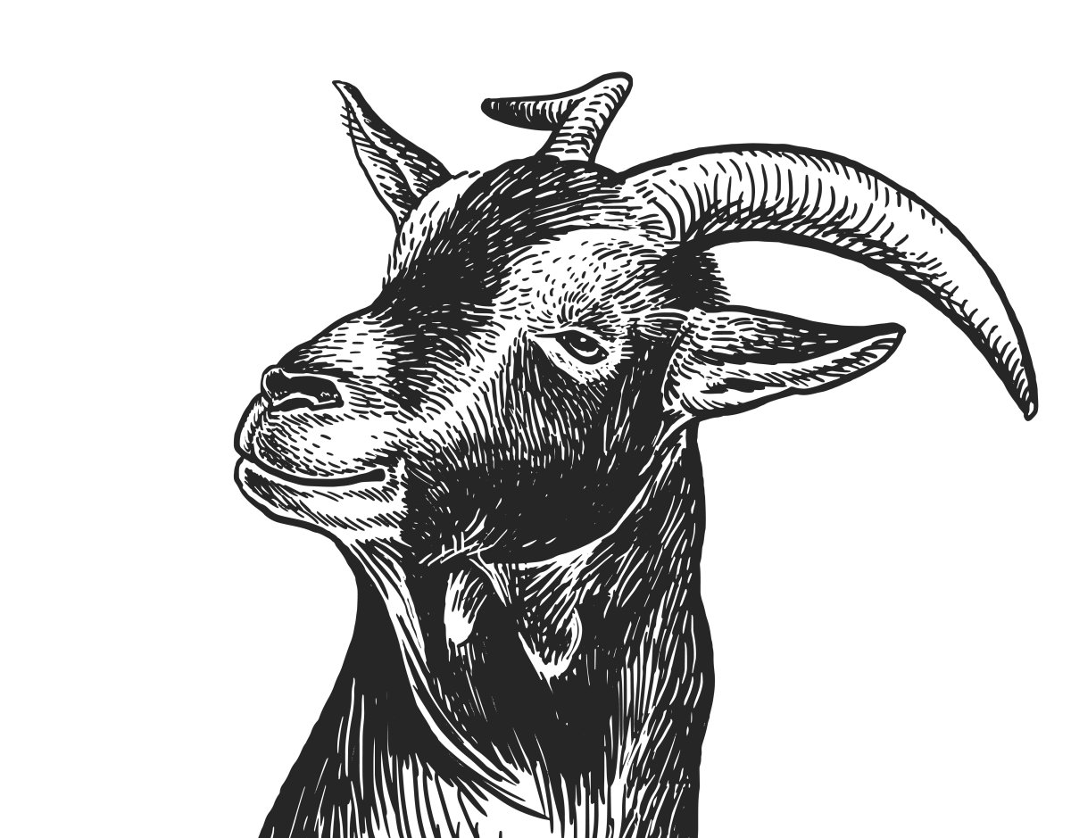 Коза Графика