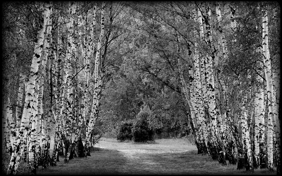 Пейзаж на памятник