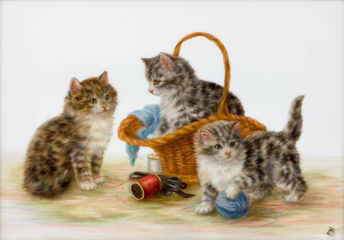 Котенок. Раскраска