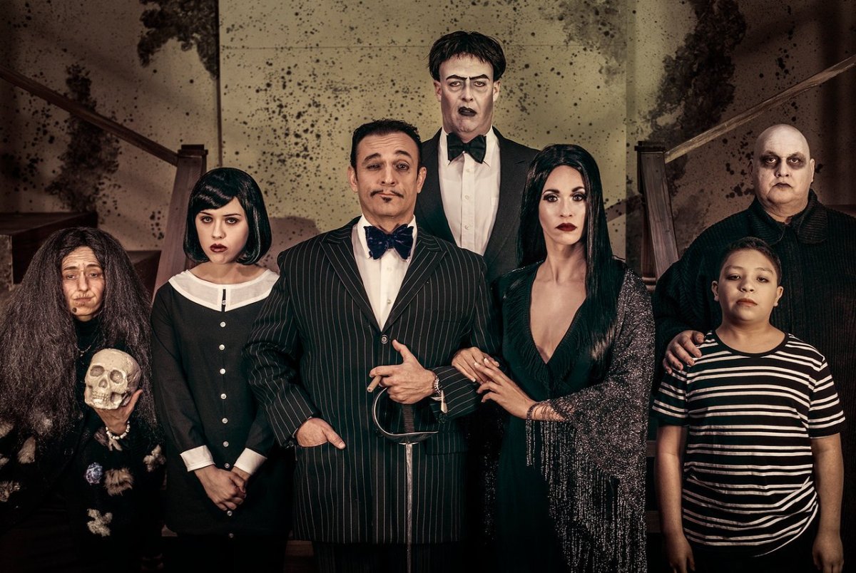 Семейка Аддамс семейный портрет
