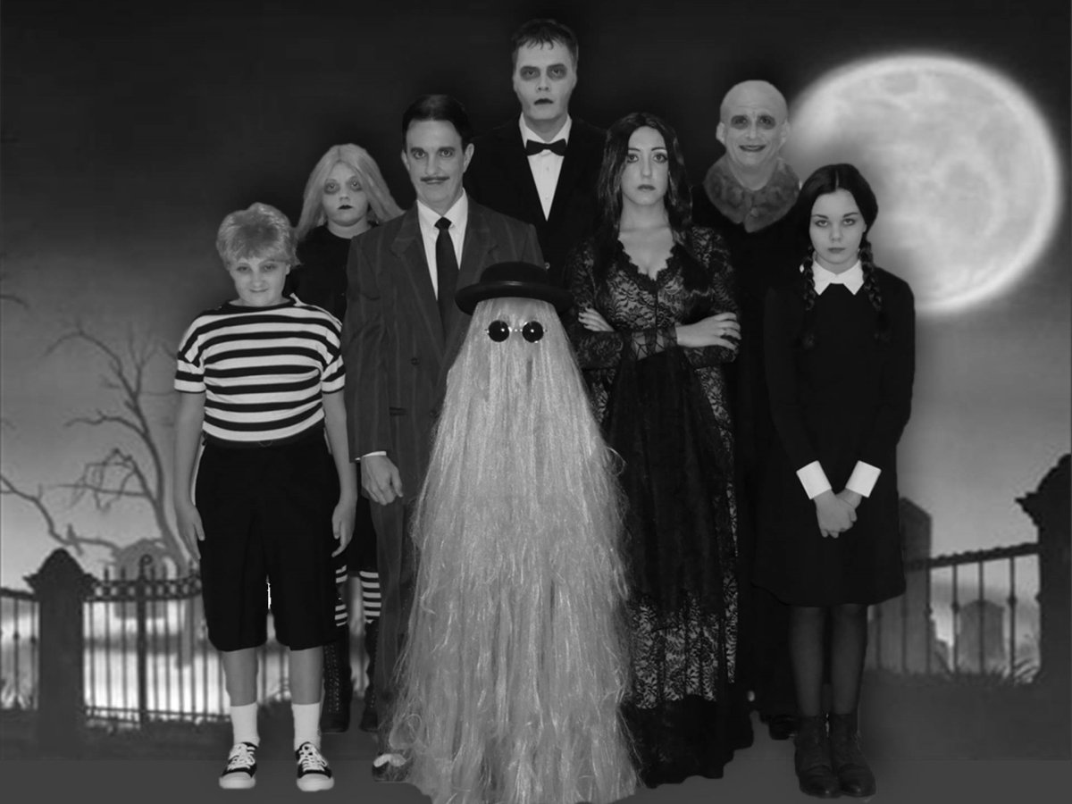 Семейка Аддамс актёры 1991