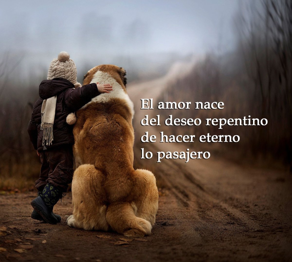 Нужна помощь