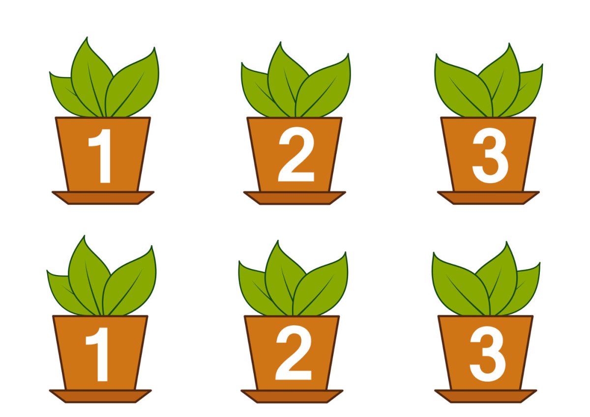 Комнатное растение рисунок