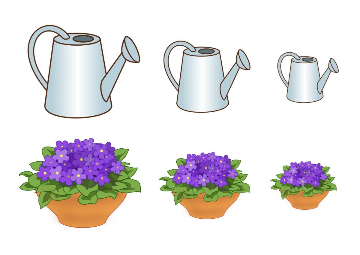 Растения для дошкольников