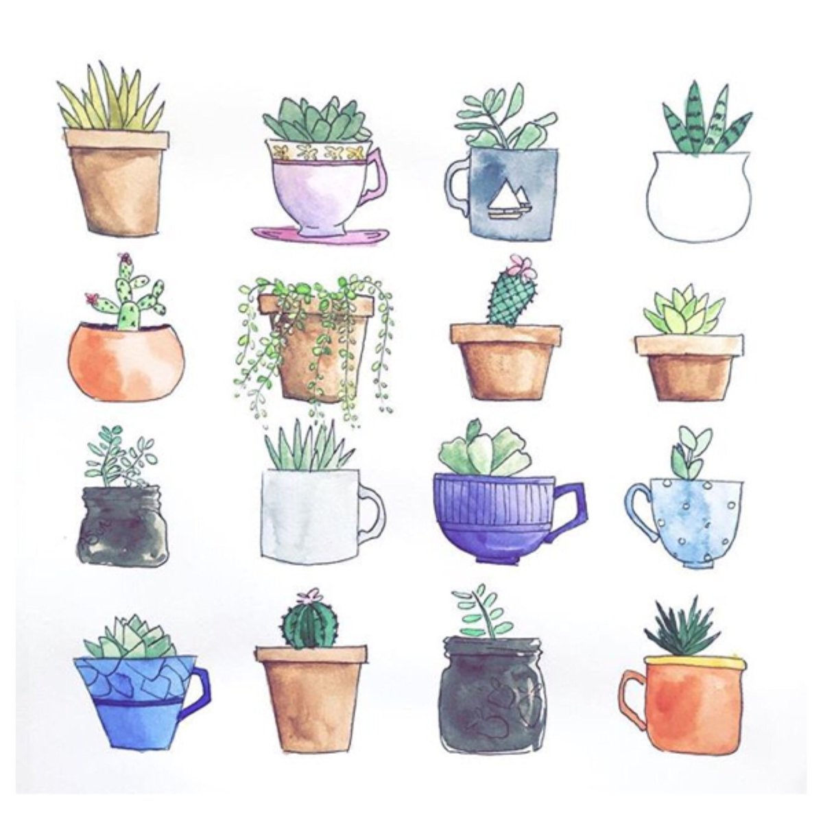 Плакат. Комнатные растения