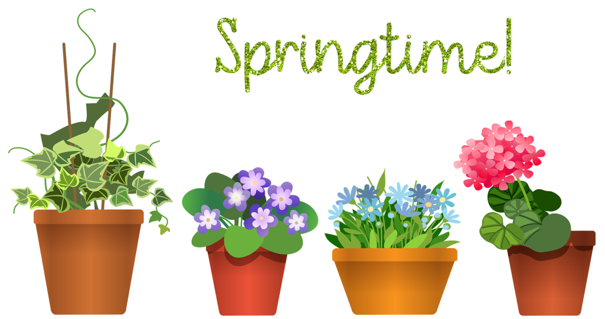 Цветок в горшке референс