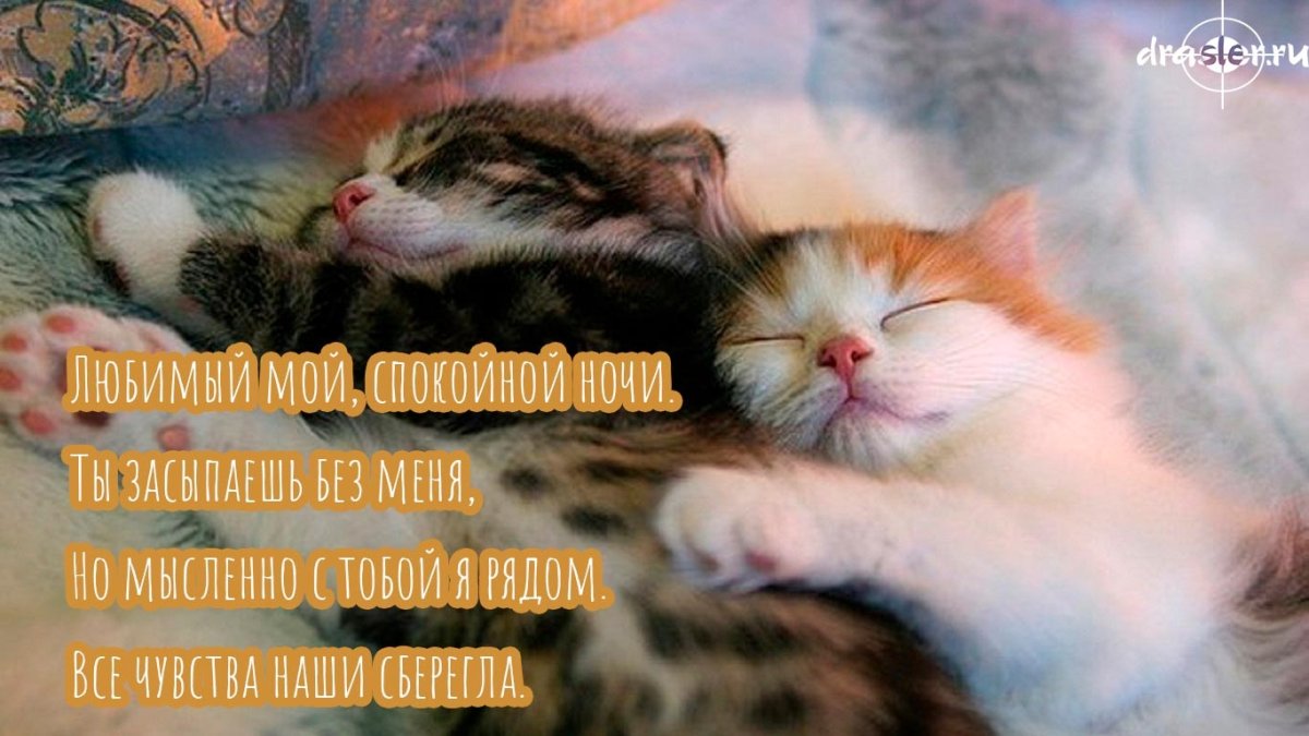 Сладких снов девушке