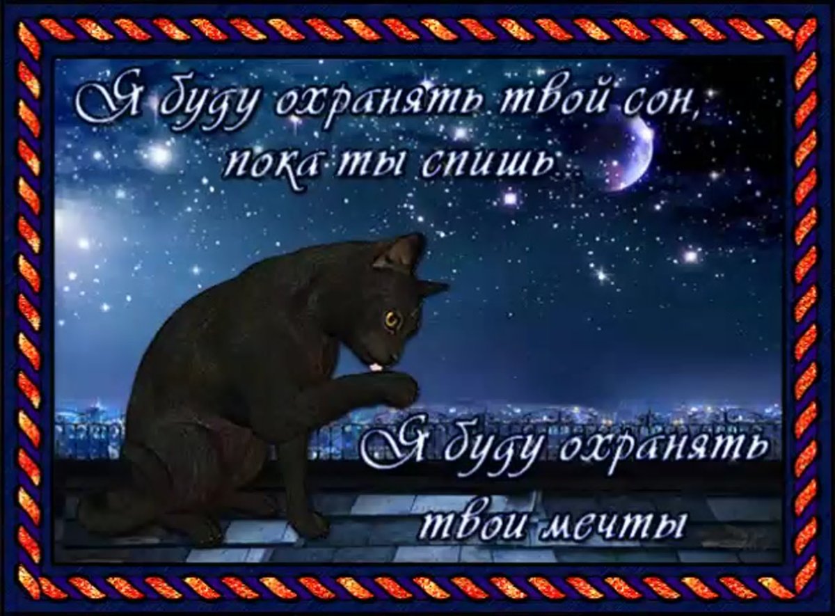 Спокойной ночи любимая