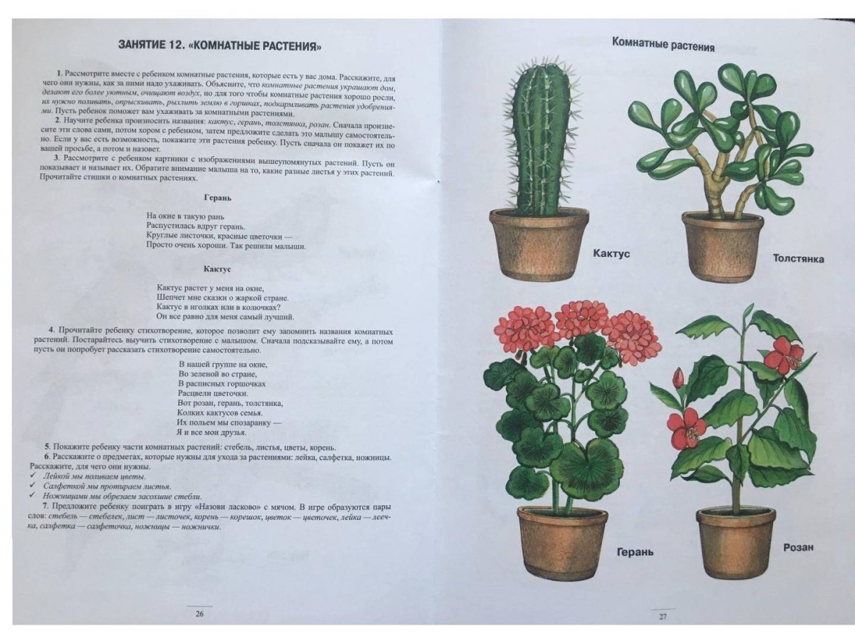 Пособие комнатные растения