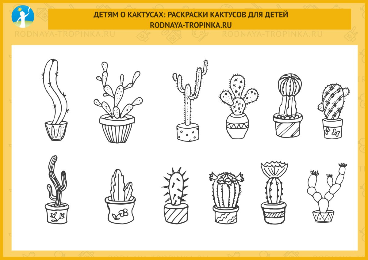 Плакат цветы в горшке