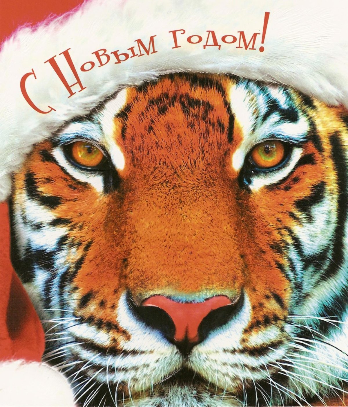 Тигр фэнтези